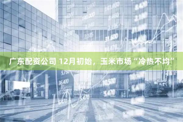 广东配资公司 12月初始，玉米市场“冷热不均”